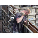 Wyco Gas Backpack Concrete Vibrator Action 2